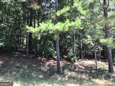 0 LOT 203 Jamesway Dr, Sparta, GA 31087 - photo 5