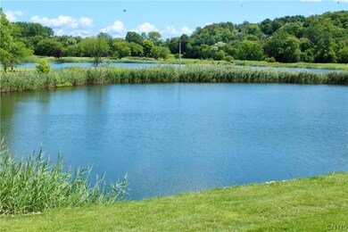 Water view in the backyard.