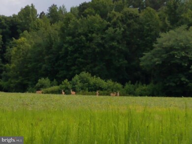 1113 Burrisville Rd, Centreville, MD 21617 - photo 2