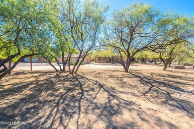 Property With Homes