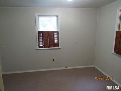 101 Ferry Rd, Geneseo, IL 61254 - photo 2