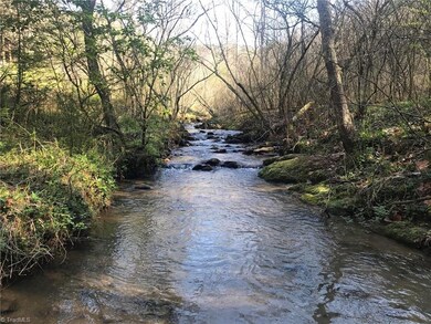 1455 Caseys Branch Rd, Purlear, NC 28665 - photo 3