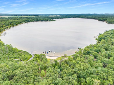 Aerial Bass Lake and Woods