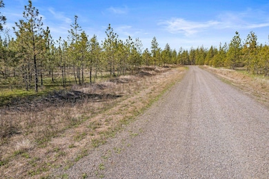 5742 Corkscrew Canyon Rd unit Lot 3, Tumtum, WA 99034 - photo 4