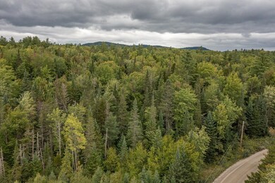 406-03 W Forest Lake Rd, Bethlehem, NH 03574 - photo 4