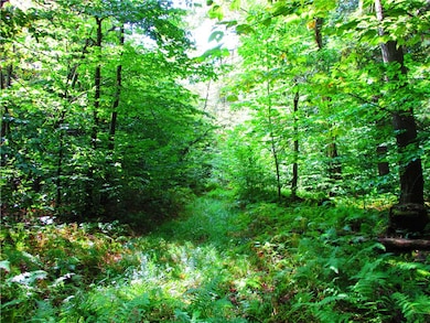 0 Campbell Hill Rd unit R1648861, Middlefield, NY 13326 - photo 6