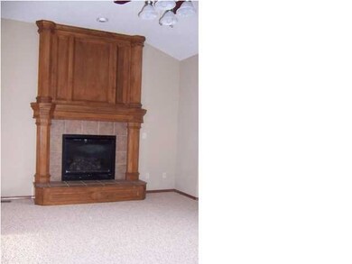 Living room fire place