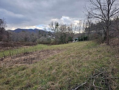 00 Belleview Rd, Franklin, NC 28734 - photo 4