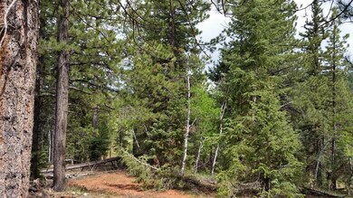 385 S Cascade Dr Zvme E-41, Duck Creek Village, UT 84762 - photo 6