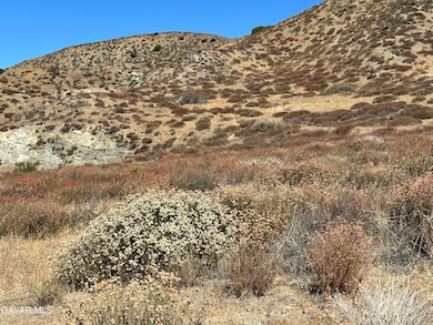 0 90th St W, Palmdale, CA 93551 - photo 7