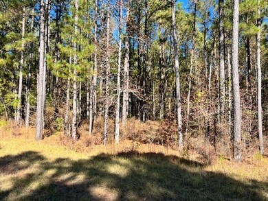 0 Mariners Way unit Lot 39, Lincolnton, GA 30817 - photo 2