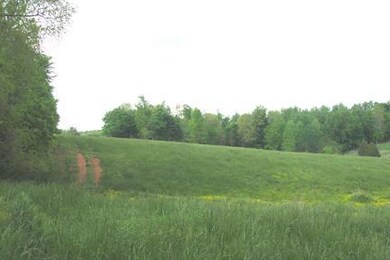 you can drive over most of the property, front to back. Fronts on Witcher Hollow Road up front and wilder Lane at the back. 
