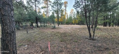 2857 Sparrow Dr unit 22, Happy Jack, AZ 86024 - photo 7