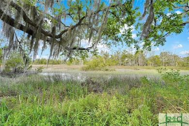 Wonderful marsh view