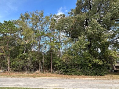 218 Broadmoor Dr, Huntsville, TX 77340 - photo 7