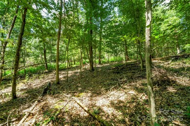 0 Setzer Dr, Morganton, NC 28655 - photo 3