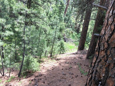 13 Pine Coulee Ln, Cascade, MT 59421 - photo 7