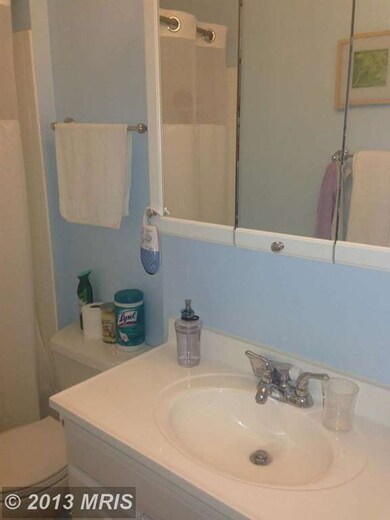 12049 Crimson Ln, Silver Spring, MD 20904 - photo 3