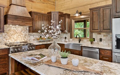 212 Brandy Ln, Ellijay, GA 30540 - photo 3