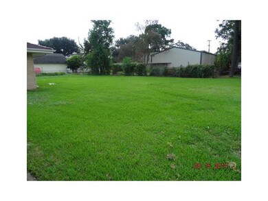 Backyard.