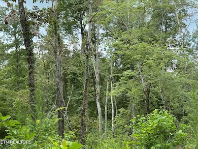 2571 Bellview Rd, Pikeville, TN 37367 - photo 4