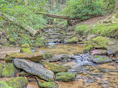 767 Driver Ln, Dillard, GA 30537 - photo 3