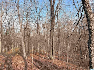 4540 Cabin Rd, McCalla, AL 35022 - photo 5