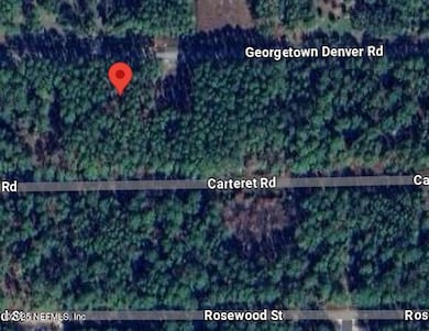 245 & 243 Georgetown Denver Rd, Georgetown, FL 32139 - photo 3