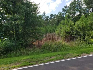 918 Balcombe Rd, Rocky Point, NC 28457 - photo 2