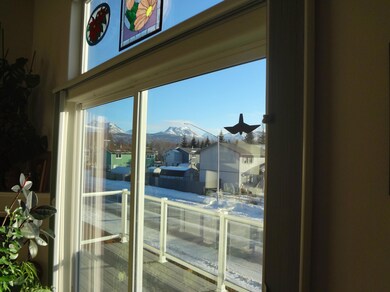 Larger Sliding Door