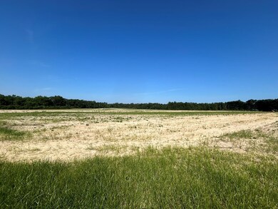 20.26+-ac Cecil Varnum Rd, Dothan, AL 36301 - photo 4