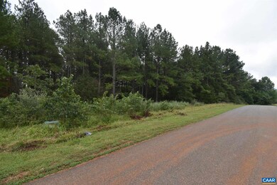 unlisted-address, Ruckersville, VA 22968 - photo 4