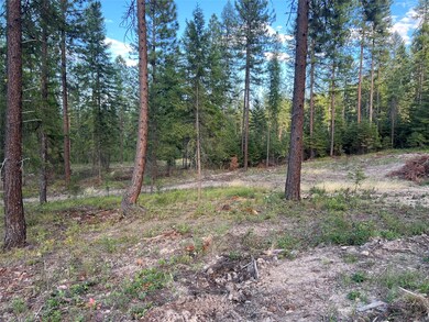 TBD Granite Lake Rd unit 6, Libby, MT 59923 - photo 5