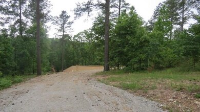 0 Banjo Ln, Broken Bow, OK 74728 - photo 6