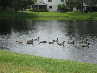 Pond View (2)