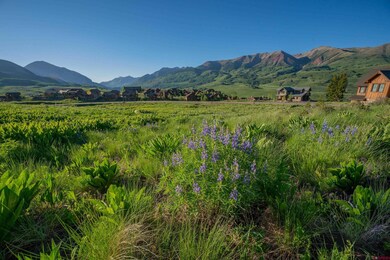 14 Walking Deer Ln, Mt. Crested Butte, CO 81225 - photo 7