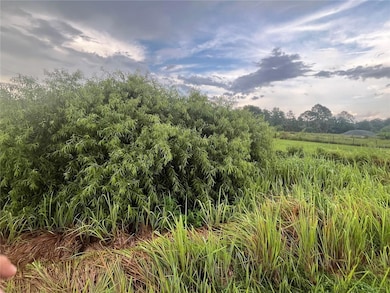 0 E State Road 60 unit MFROK224263, Yeehaw, FL 34972 - photo 6