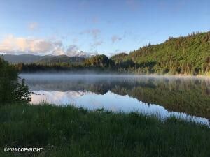 Tr A1-6 Pomeroy Rd, Homer, AK 99603 - photo 5