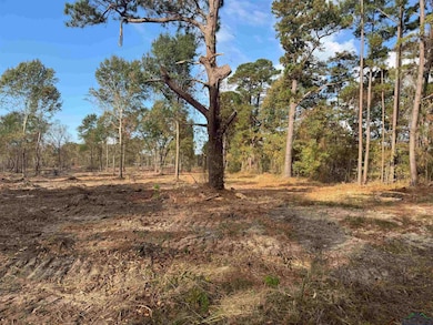 Lot 2 TBD County Road 4108, Henderson, TX 75654 - photo 7