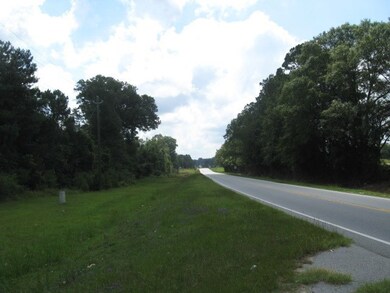 1906 Transus Dr, Vidalia, GA 30474 - photo 2