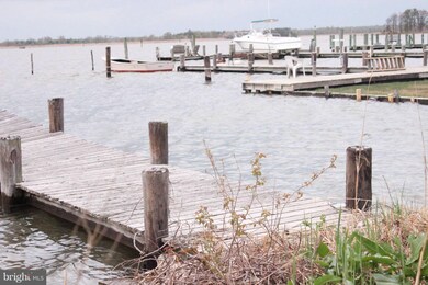 20996 Haven Rd, Rock Hall, MD 21661 - photo 6