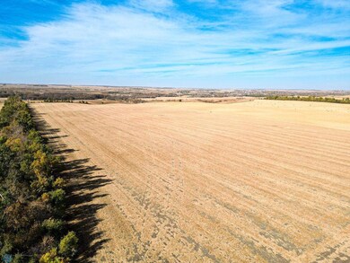 Land(1of15).jpg