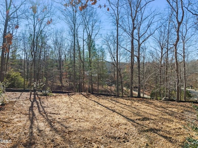 101 Madera Ln, Chapel Hill, NC 27517 - photo 5