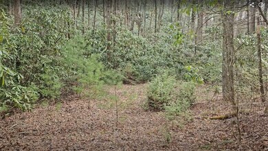 0 Falls Rd unit 1000715, Scaly Mountain, NC 28775 - photo 4