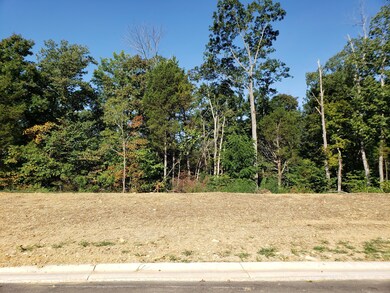 40 Kilner Goodlet Ct, Mount Washington, KY 40047 - photo 3