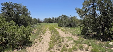 Lot 16 Swayback Trail, Corona, NM 87047 - photo 4