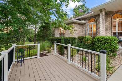 305GreyFoxCir-49