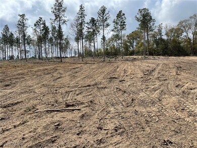 1669 Lawrence Rd, Bonifay, FL 32425 - photo 4