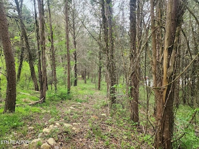 173 lot available too