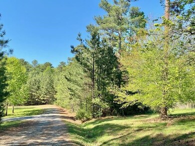 113 Hillendale Dr, Pittsboro, NC 27312 - photo 4